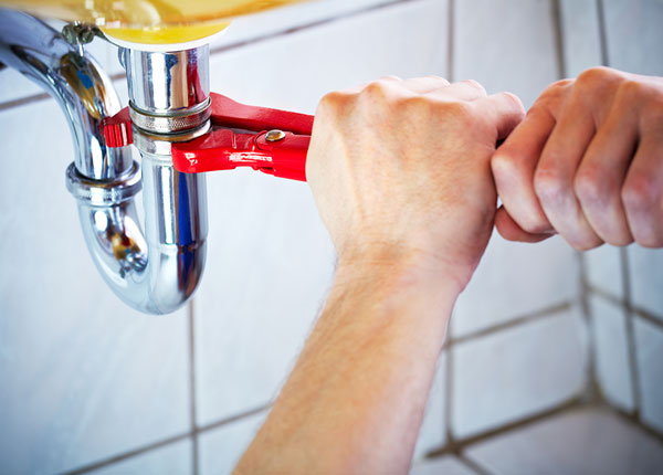 About Forrest Plumbers